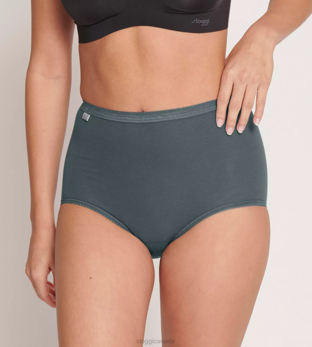 Knickers | N0241 Multiple Colours 14 BASIC+ Maxi knickers Women sloggi